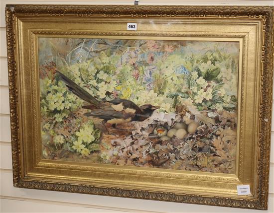 Rosa Jameson (Strutt) Poached Eggs 42 x 66cm